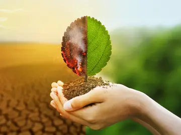 Klimakonferenz COP30: Brasilien im Fokus – Kann die Welt retten?