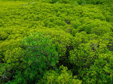 Achtung Haushalte: CO2-Preisexplosion ab 2028 – Jetzt informieren!