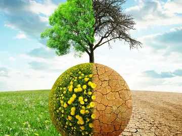 Hessischer Klimabeirat fühlt sich von Regierung völlig ignoriert!