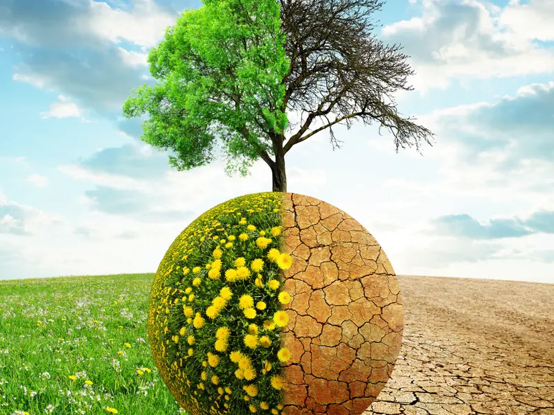 Klimawandel: 10 Jahre Pariser Abkommen und die alarmierende Bilanz!